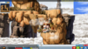 upload_2024-5-22_22-20-58.png