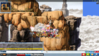 upload_2024-5-22_21-33-48.png