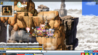 upload_2024-5-22_21-34-5.png
