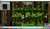 Screenshot 2024-10-24 011241.png