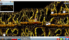 upload_2024-10-24_2-3-21.png