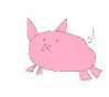 pig.jpg