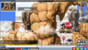 Pet 8.png