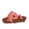 popoz
